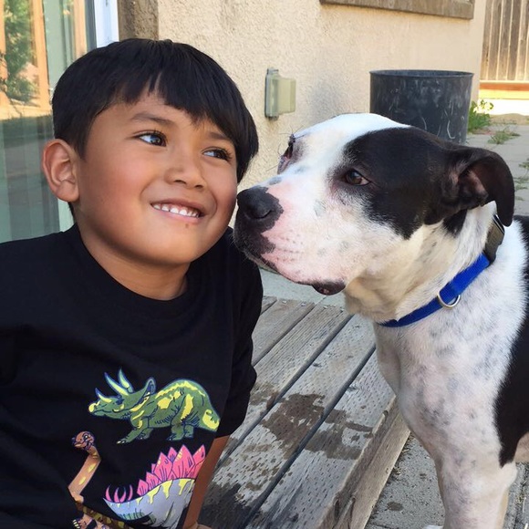 Meet your Posher, Aurora - Picture 2 of 8